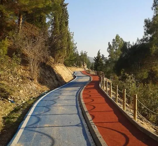 Oda ve Kahvaltı Güneş